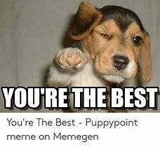 Image result for You're the Best Animal Meme