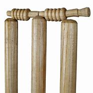 Image result for Single Spring Wicket
