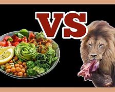 Image result for Vegan vs Carnivore