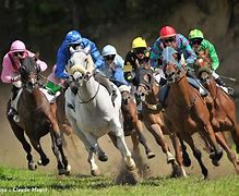 Image result for Race Horses with Jockey