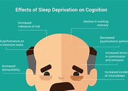 Image result for Sleep Loss and Memory