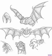 Image result for Evil Bat Drawings