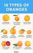 Image result for 1 Plus Equals Oranges