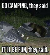 Image result for Bad Camper Funny