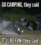 Image result for Winter Camping Memes