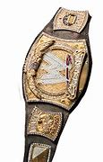 Image result for WWE Spinner Belt for Shoulder