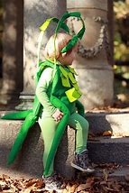 Image result for Cricket Animal Costume