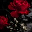 Image result for Red Rose iPhone 4 Plus