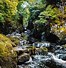 Image result for How to Vist the Fairy Glen