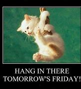 Image result for Tomorrow Is Friday Cat Meme