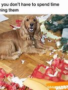 Image result for Christmas Dog Meme Assie