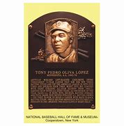 Image result for Tony Oliva Plaque