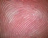 Image result for 10-Print Fingerprint Card