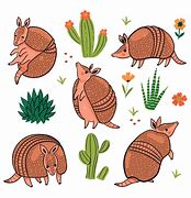 Image result for Cute Armadillo Realistic Background