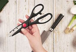 Image result for Parts of Kitchen Scissors