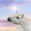 Image result for Unicorn Sceen