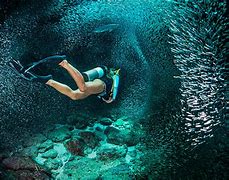 Image result for Underwater Deep Sea Diver