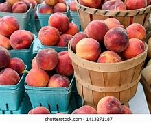 Image result for Half Bushel Peach Basket