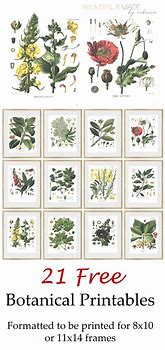 Image result for 8 by 10 Prints