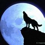 Image result for White Wolves Howling at the Moon