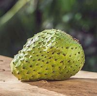 Image result for soursop