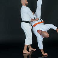 Image result for World Best Martial Artist
