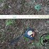 Image result for Measuring Tree Height