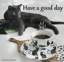 Image result for Good Day Cat Meme