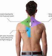 Image result for Back Brace for Posture Correction