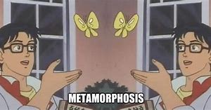 Image result for Metamorphosis Glasses Meme