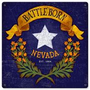 Image result for Nevada Battle Born Symbol
