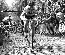 Image result for Tour De France Sean Kelly