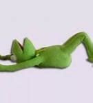 Image result for Kermit Couch Meme