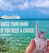 Image result for Cruise Meme Funny
