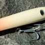 Image result for Topwater Fishing Lures
