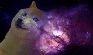 Image result for Doge Fan Art