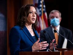 Image result for Joe Biden and Kamala Harris Cartoons