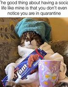 Image result for Quarantine New York City Meme