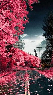 Image result for Phone Wallpaper Home Screen Beautiful