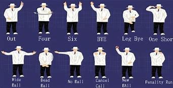 Image result for Cricket Hand Signals