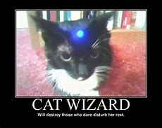 Image result for Wizard Memes D and D