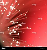 Image result for Fiber Optic Cable