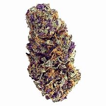 Image result for Purple Palm Tree Delight
