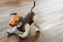 Image result for Brown Aibo