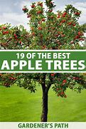 Image result for Apple Species List