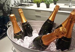 Image result for Champagne Ice Bucket