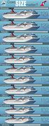 Image result for Different Cruise Lines Ships