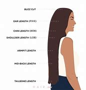 Image result for Grooming Hair Length Chart