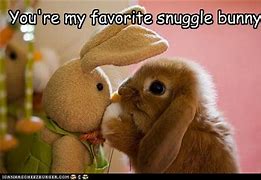 Image result for Snuggle Bunny Meme