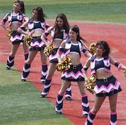 Image result for Chinese Taipei Cheer Squad